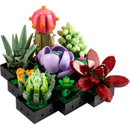 Succulents | Icons | 10309