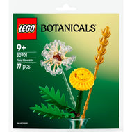 Fleurs des champs | Botanique | 30701