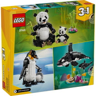 Panda Family | Creator | 31165