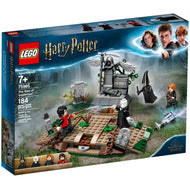 L'Ascension de Voldemort | Harry Potter | 75965
