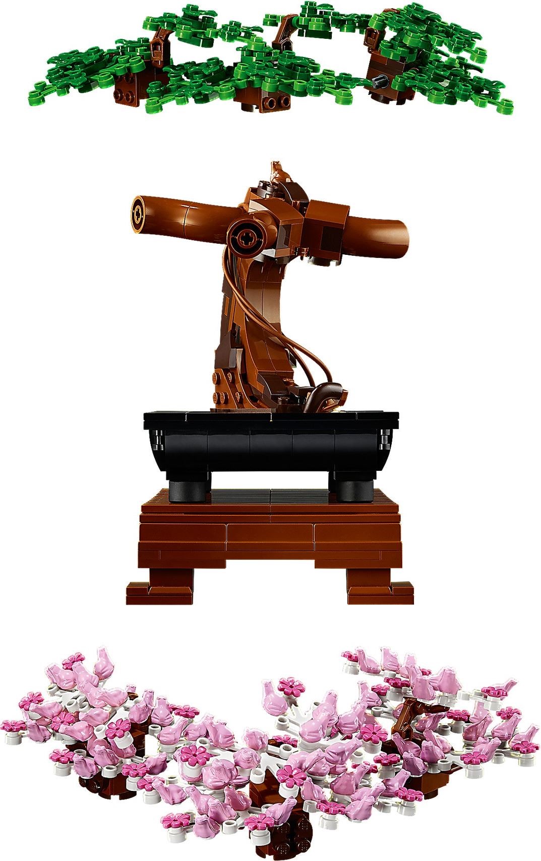 Bonsai Tree | Icons | 10281