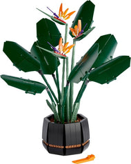 Bird of Paradise | Icons | 10289