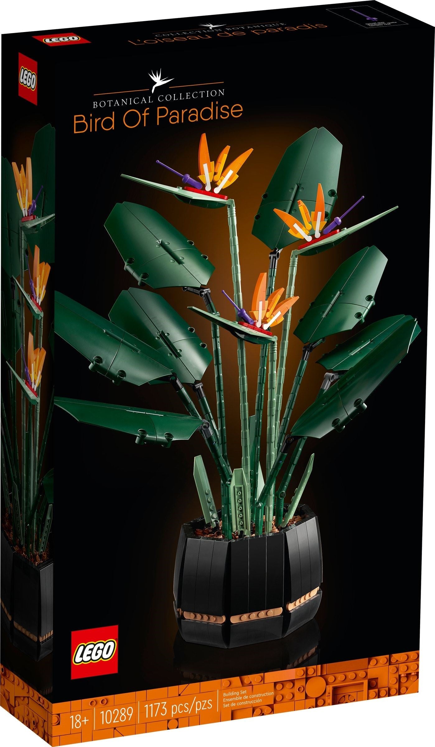 Bird of Paradise | Icons | 10289