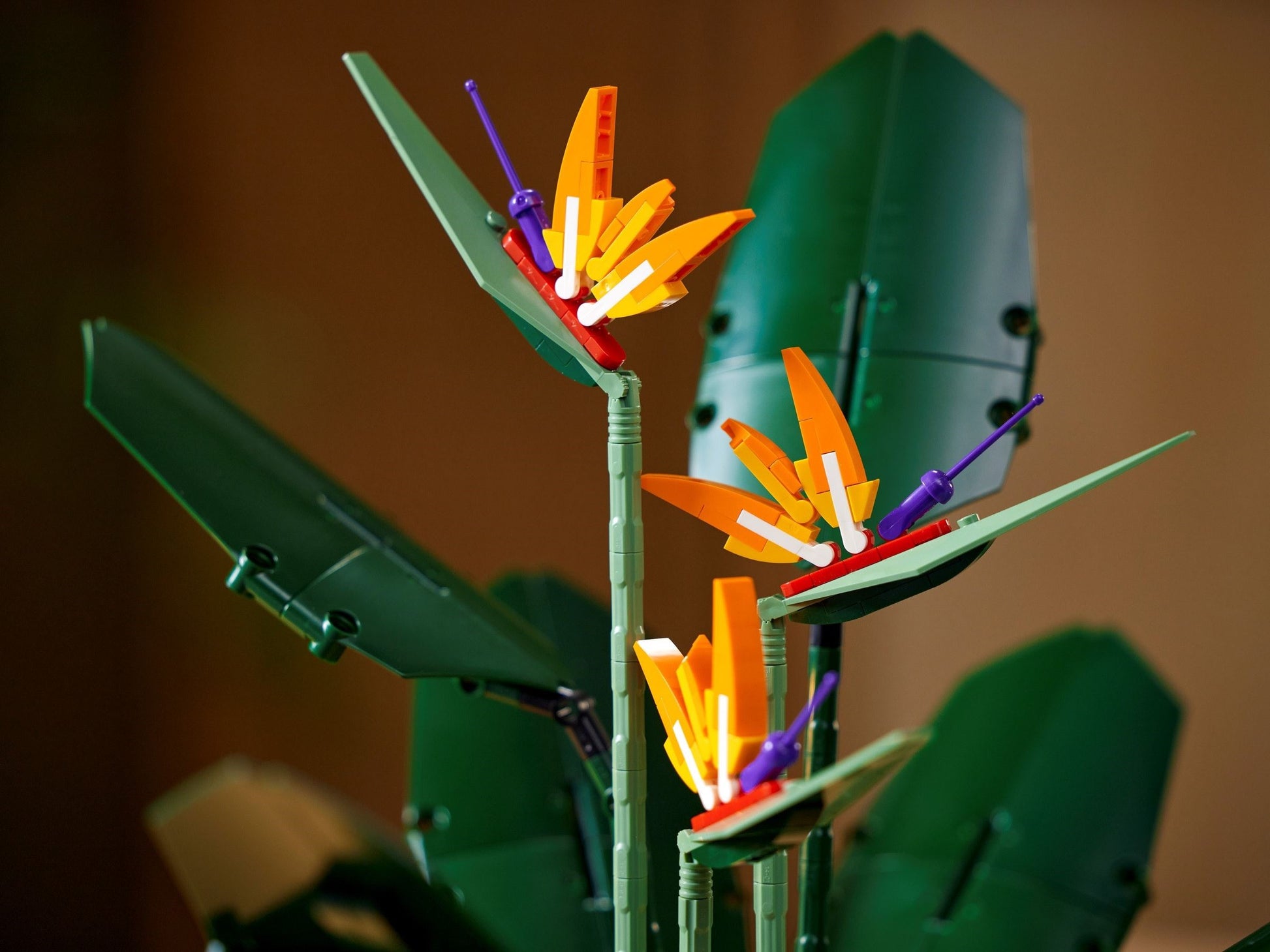 Bird of Paradise | Icons | 10289