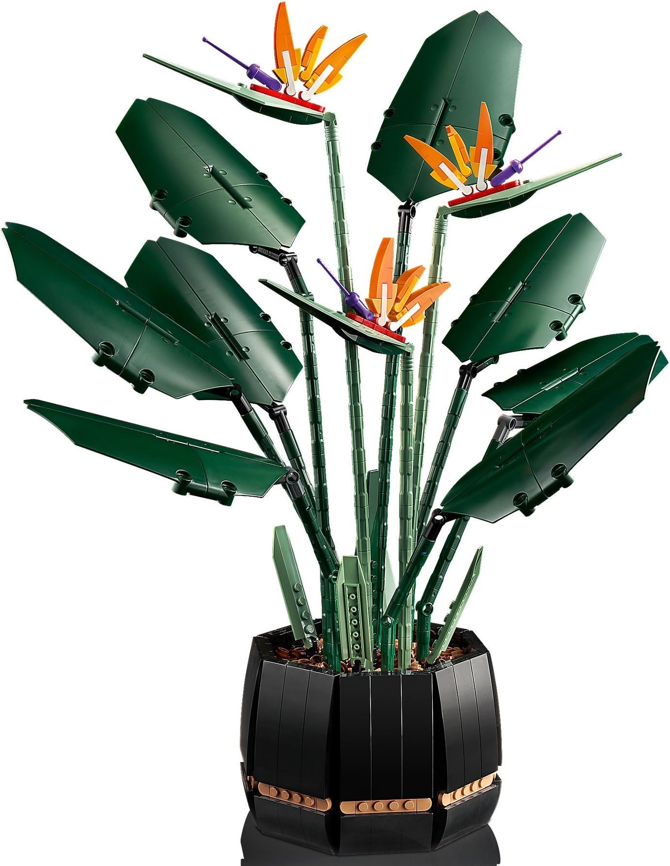 Bird of Paradise | Icons | 10289