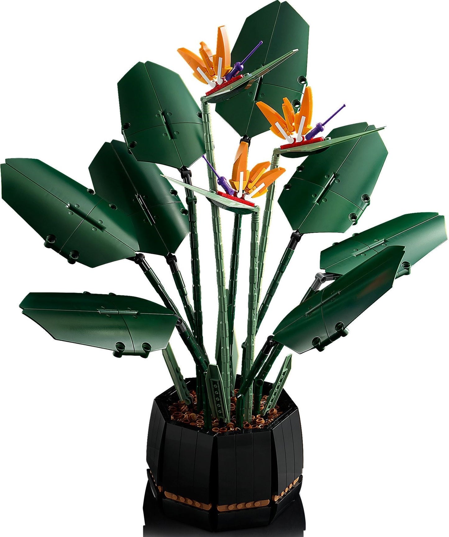 Bird of Paradise | Icons | 10289