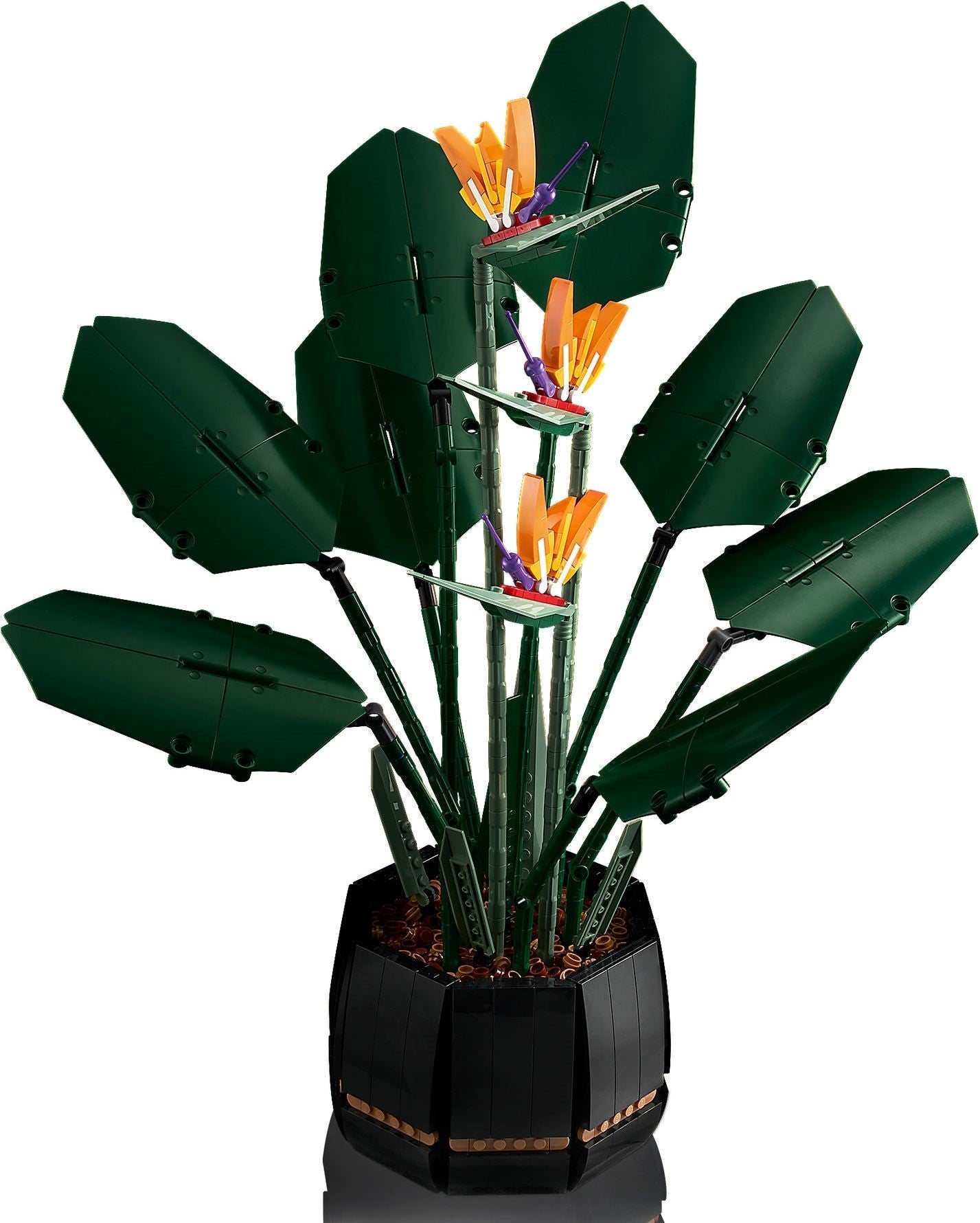 Bird of Paradise | Icons | 10289