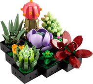 Succulents | Icons | 10309