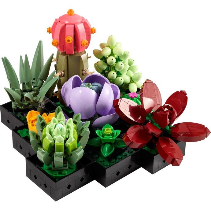 Succulents | Icons | 10309