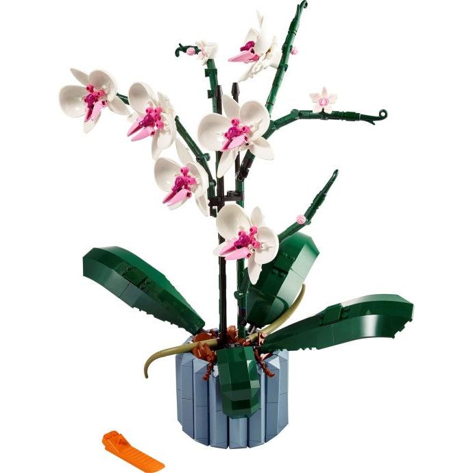 Orchid | Icons | 10311