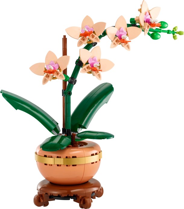 Mini Orchid | Botanicals | 10343