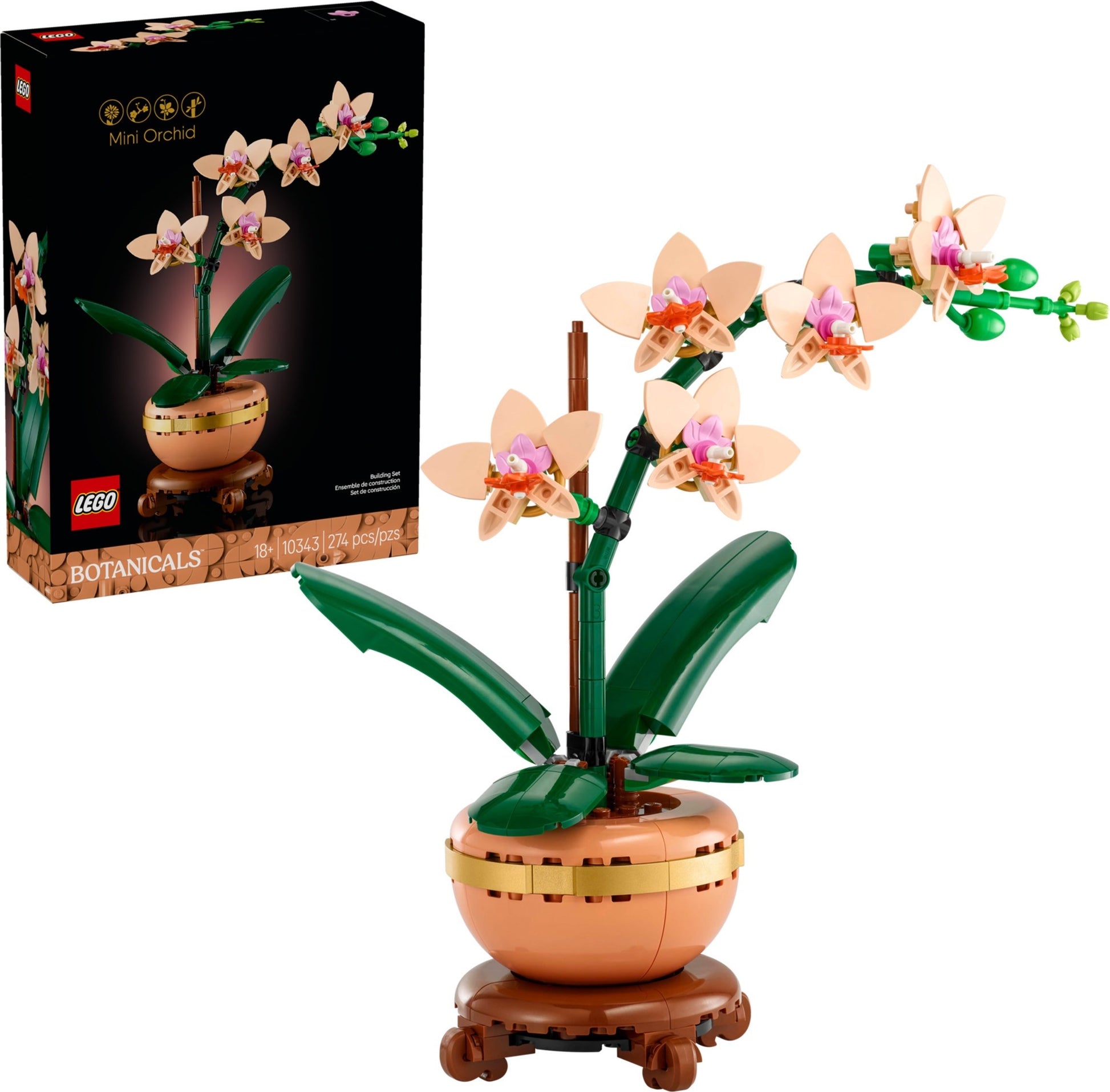 Mini Orchid | Botanicals | 10343