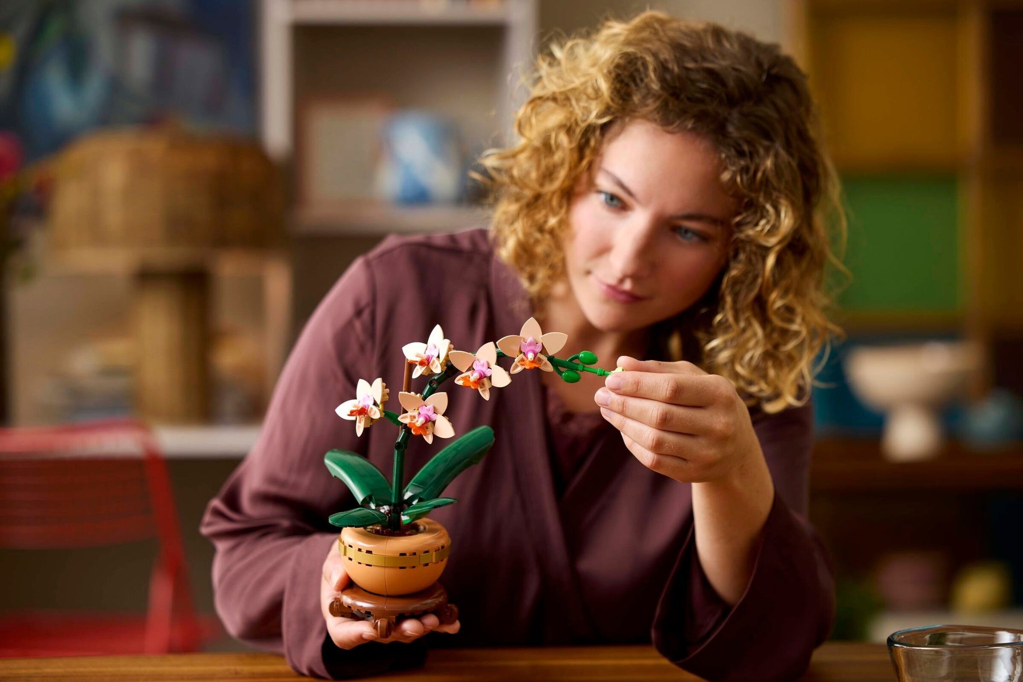 Mini Orchid | Botanicals | 10343