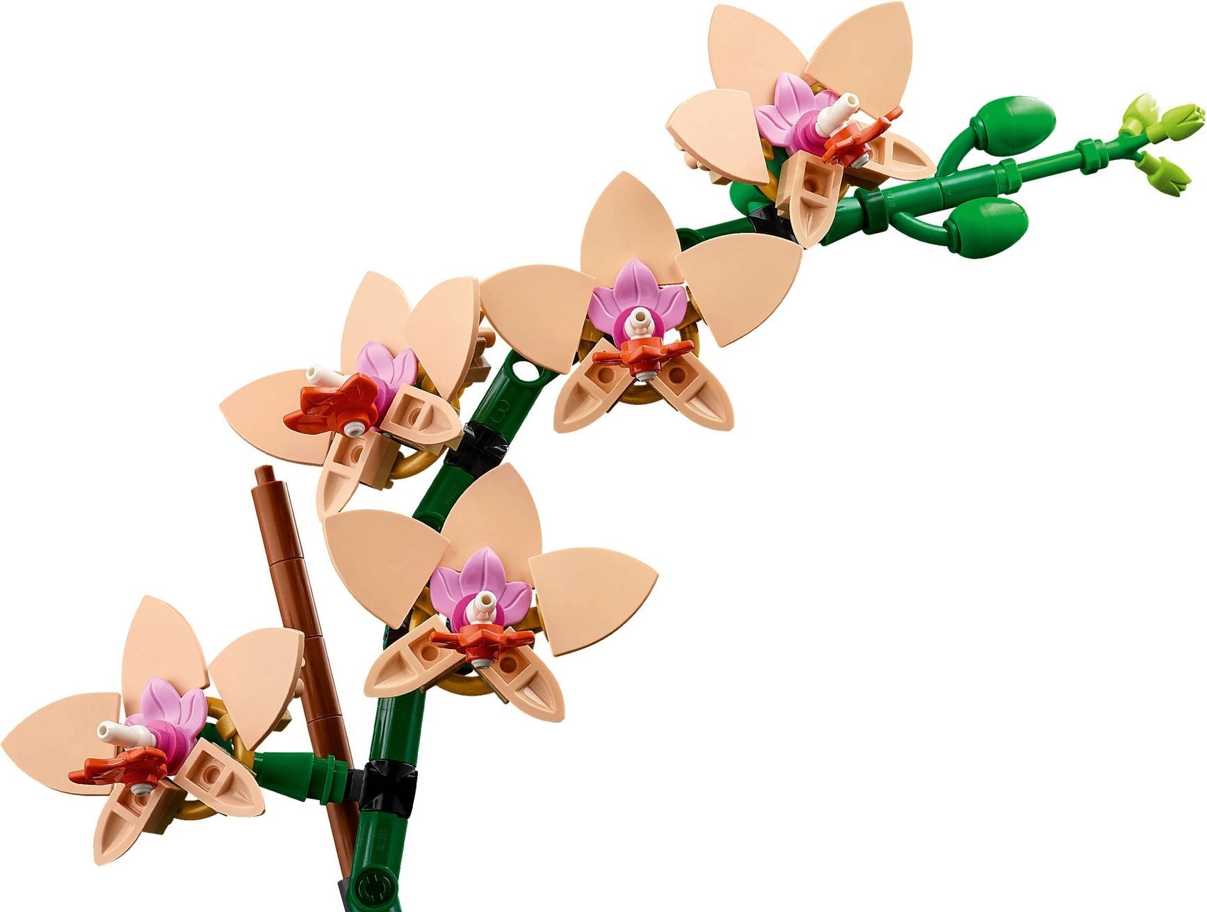 Mini Orchid | Botanicals | 10343