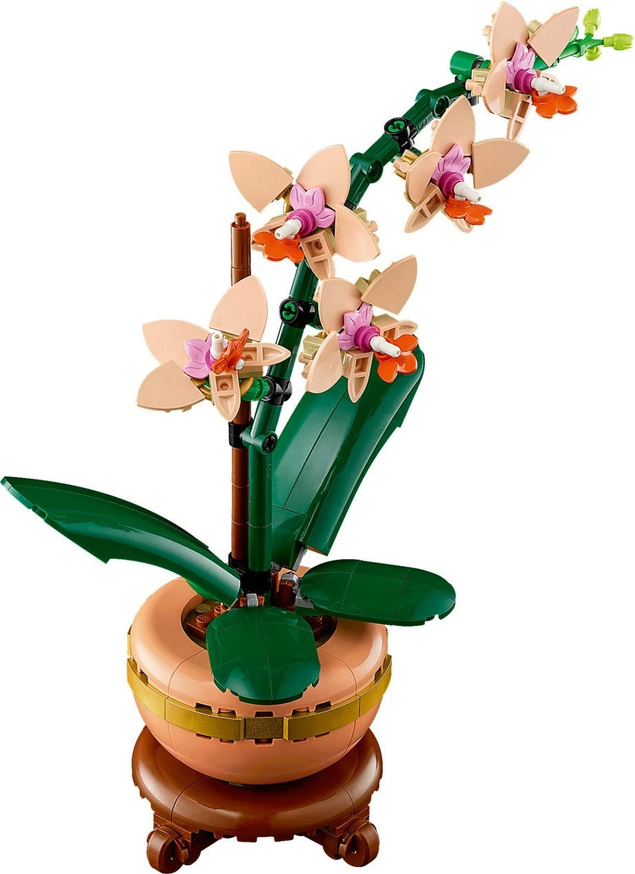 Mini Orchid | Botanicals | 10343