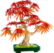 Japanese Maple Tree | Botanicals | 10348