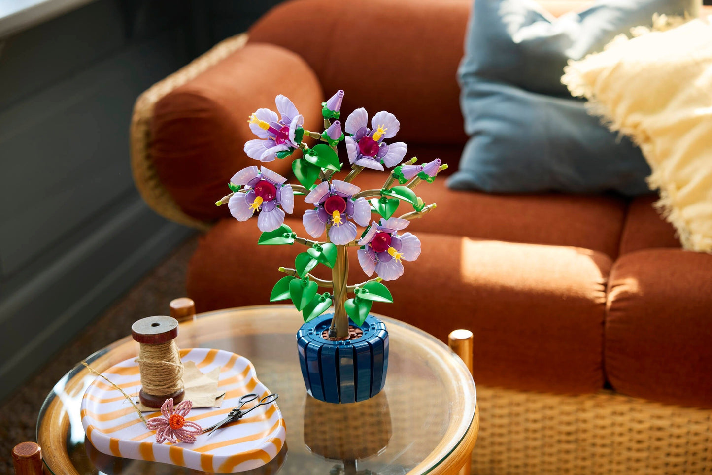 Hibiscus | Botanicals | 10372