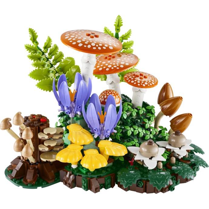 Woodland Mushrooms | Botanicals | 11505