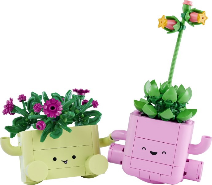 Rocking Plants | Botanicals | 11506