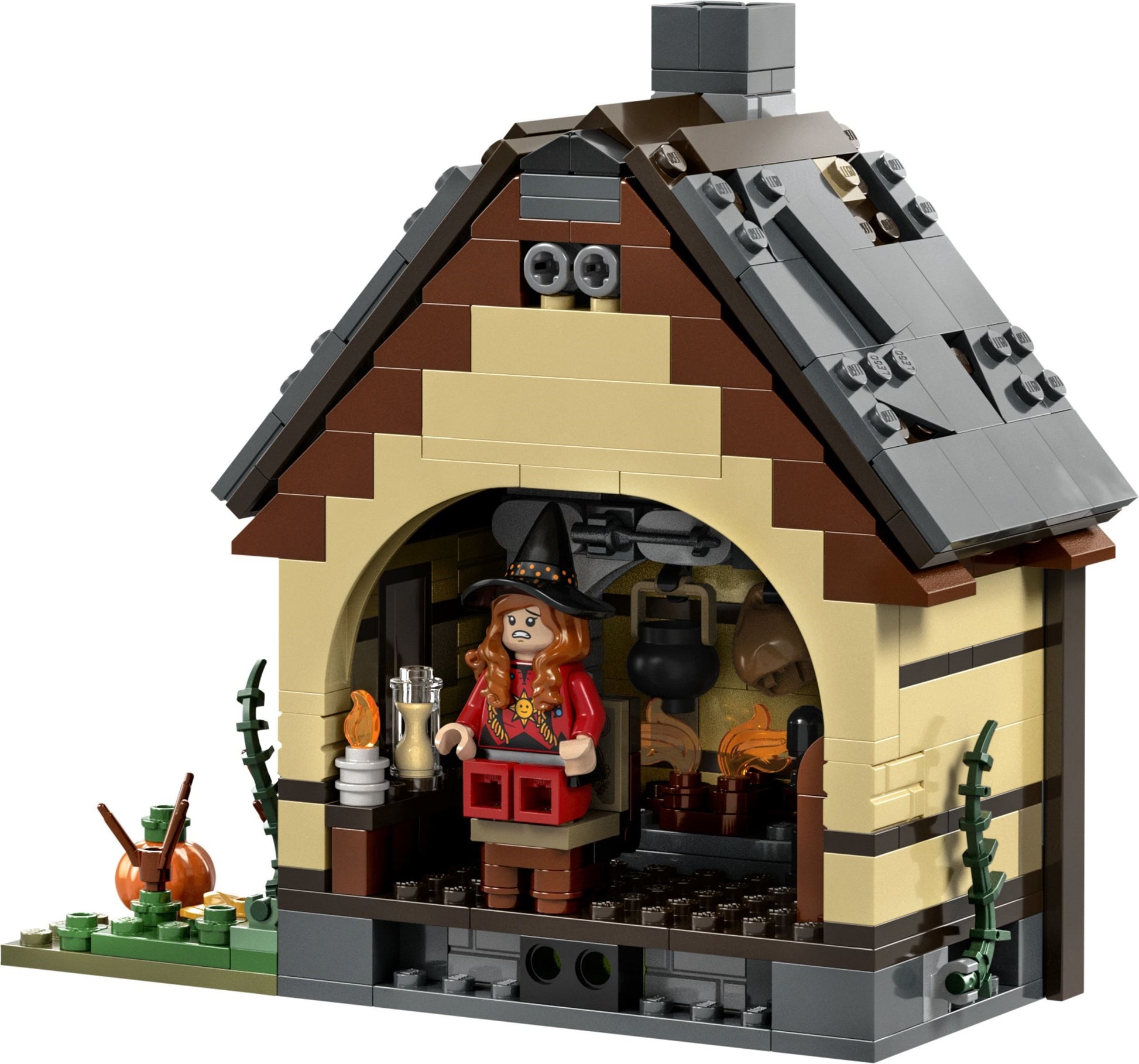 Disney Hocus Pocus: The Sanderson Sisters' Cottage | Ideas | 21341