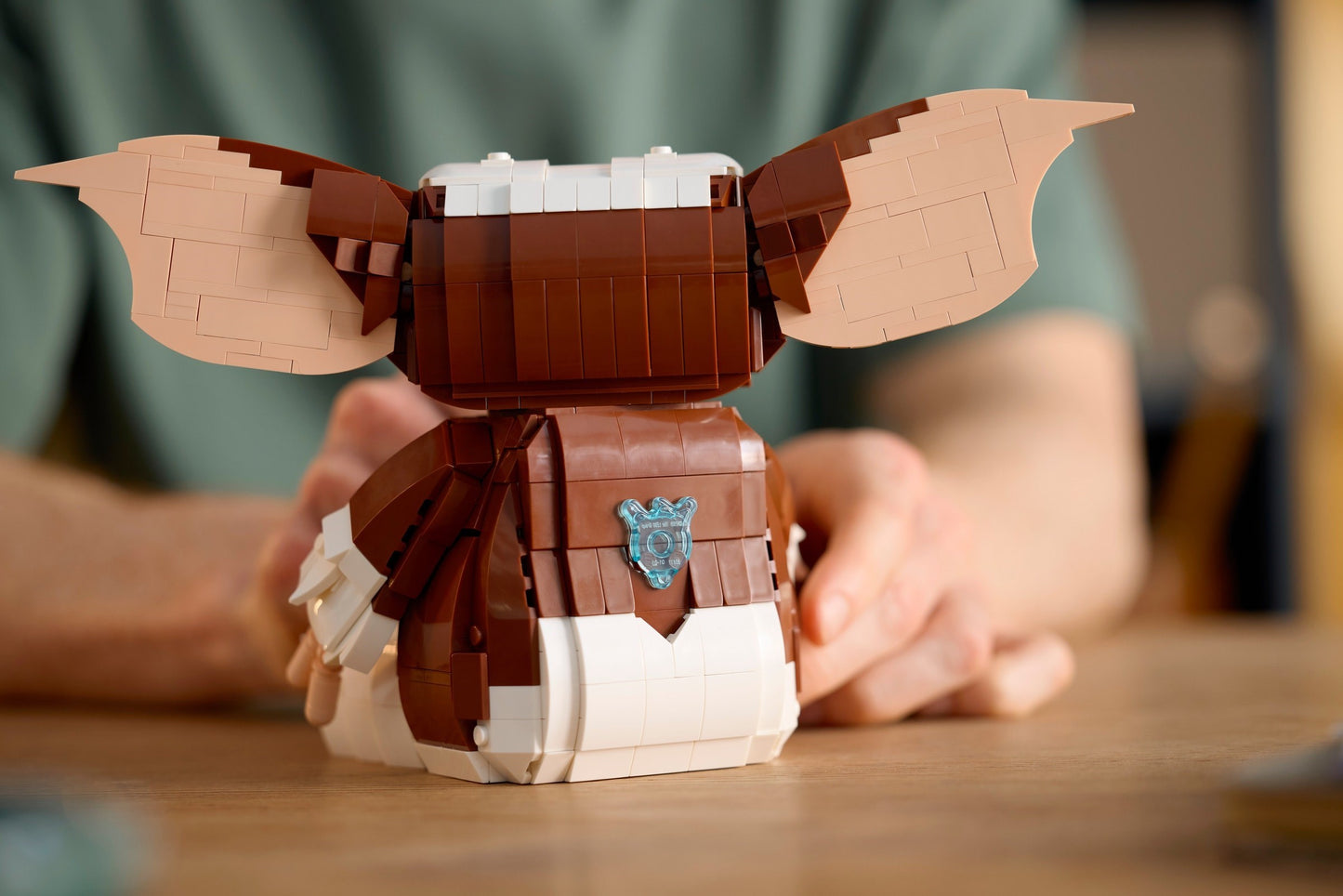 Gizmo | Idées | 21361