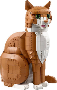 Orange Cat | Ideas | 21376