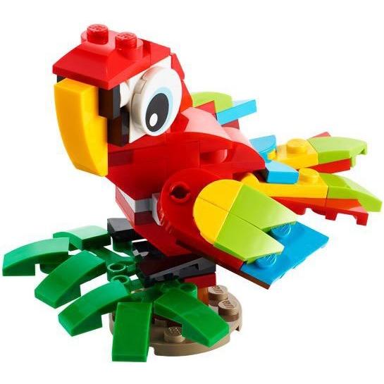 Tropical Parrot | Creator
