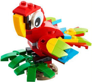 Tropical Parrot | Creator | 30581