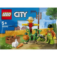 Farm Garden & Scarecrow | City | 30590