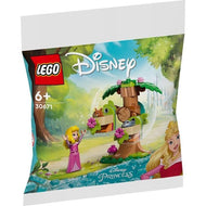 Aurora's Forest Playground | Disney | 30671