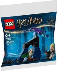 Draco in the Forbidden Forest | Harry Potter | 30677