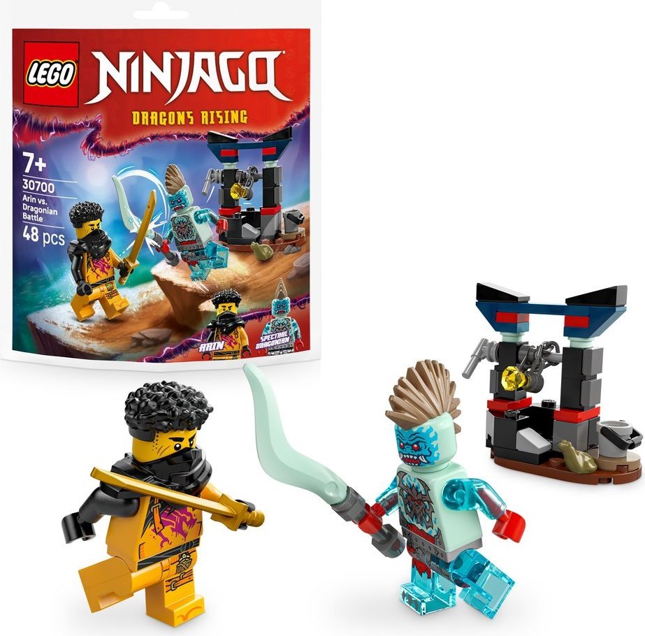 Combat entre Arin et Dragonian | Ninjago | 30700