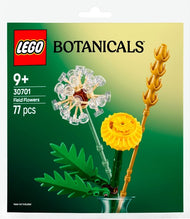 Field Flowers | Botanicals | 30701