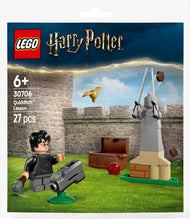 Quidditch Lesson | Harry Potter | 30706