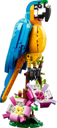 Exotic Parrot | Creator | 31136