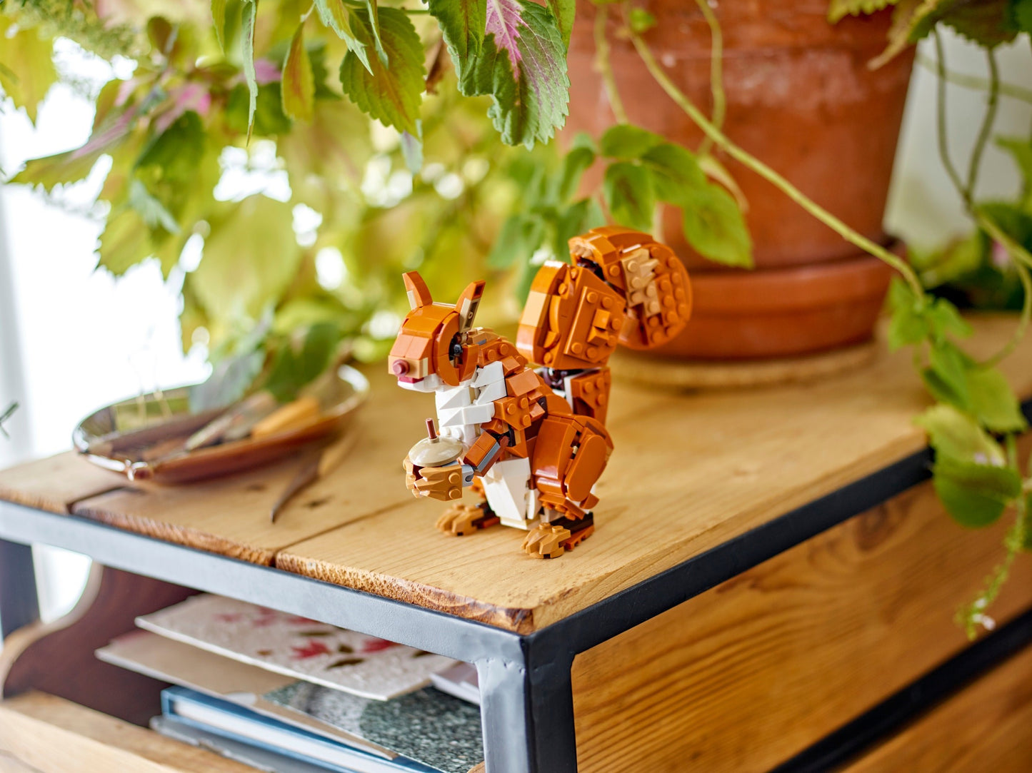 Forest Animals: Red Fox | Creator | 31154