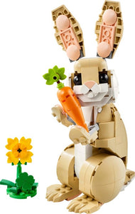 Cute Bunny | Creator | 31162