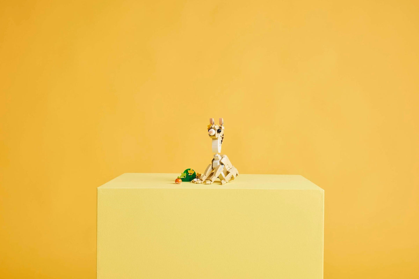 Cute Bunny | Creator | 31162