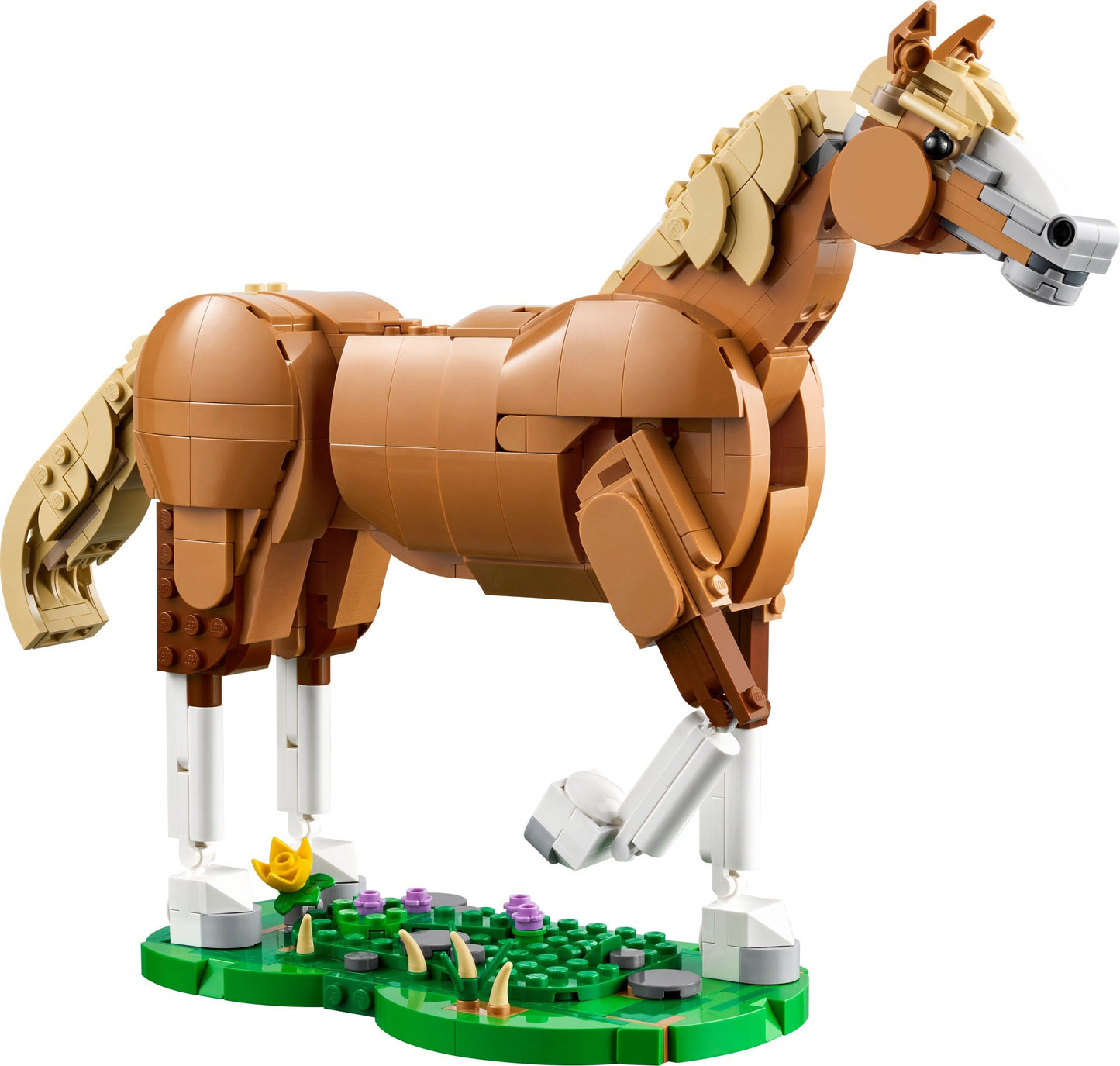 Beautiful Horse | Creator | 31166