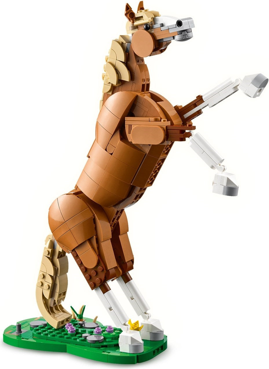 Beautiful Horse | Creator | 31166