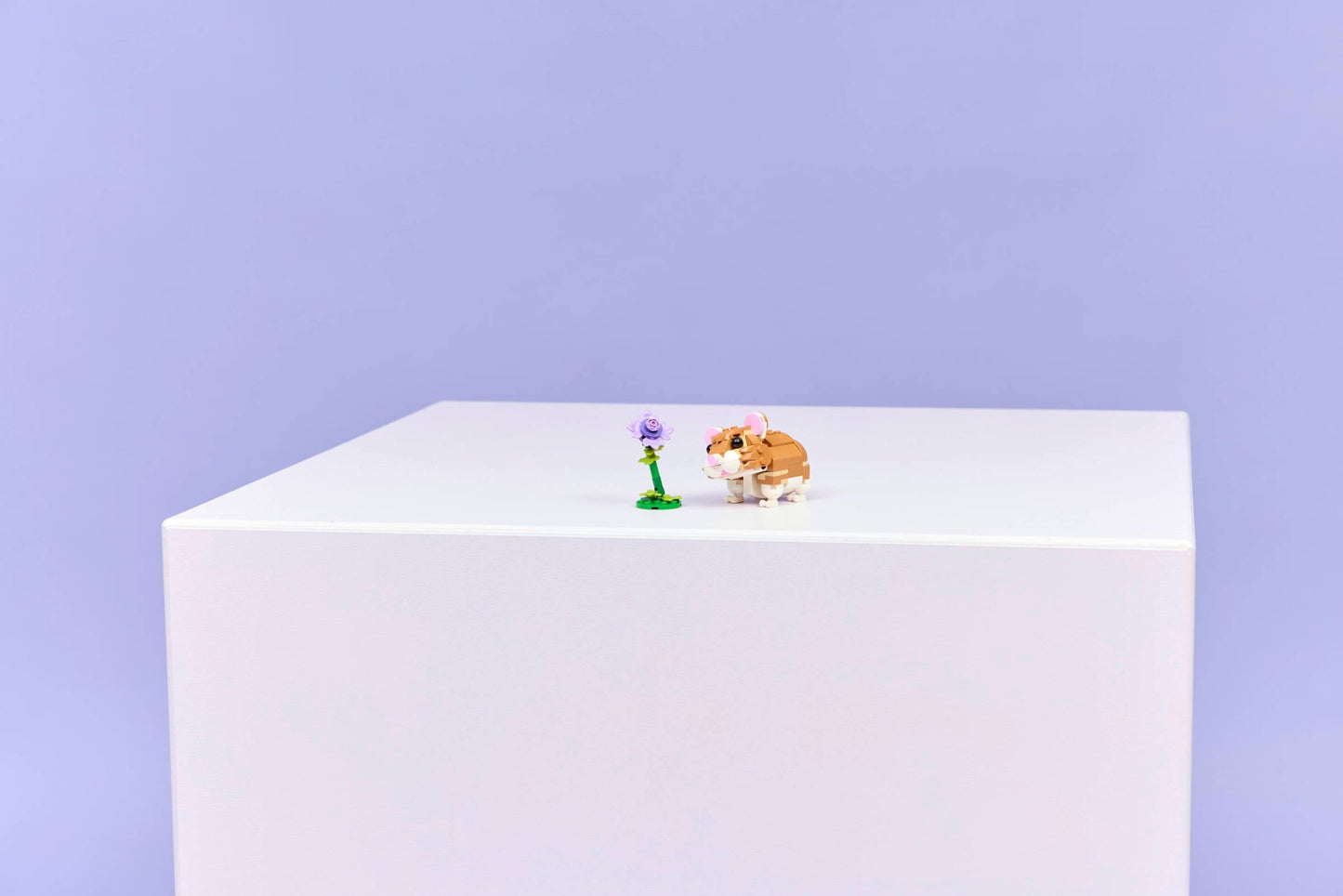 Cute Hamster with a Flower | Creator | 31376