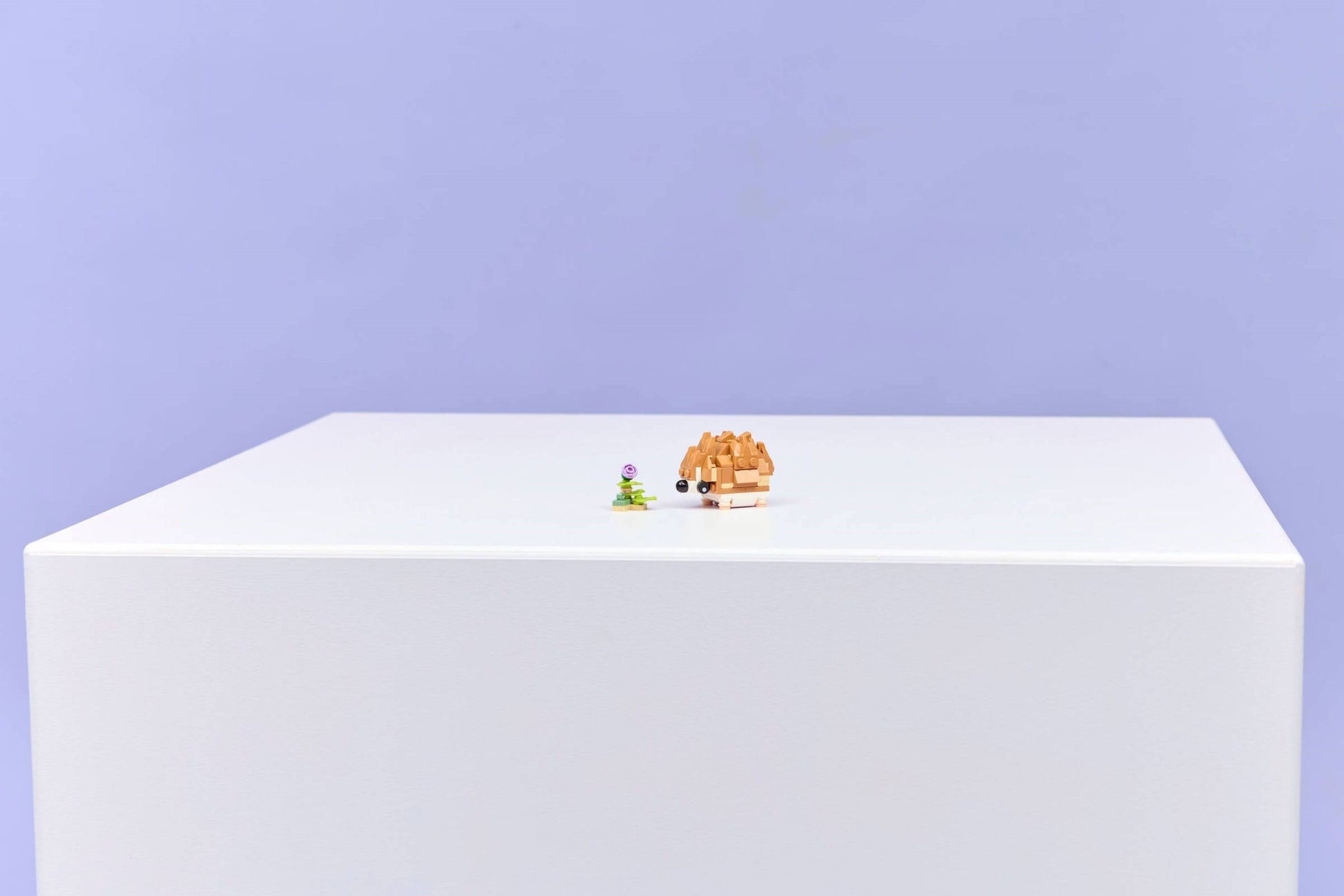 Cute Hamster with a Flower | Creator | 31376