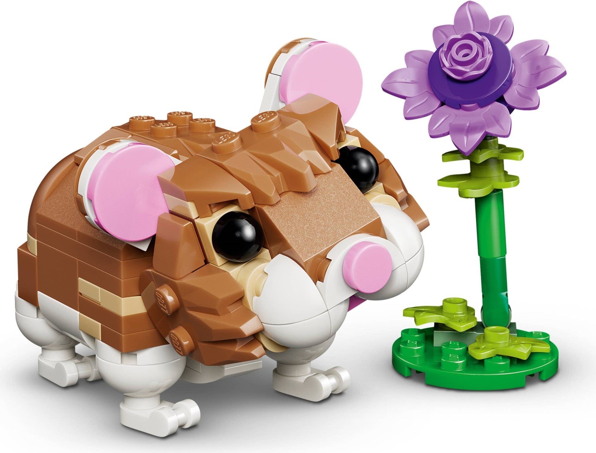 Cute Hamster with a Flower | Creator | 31376