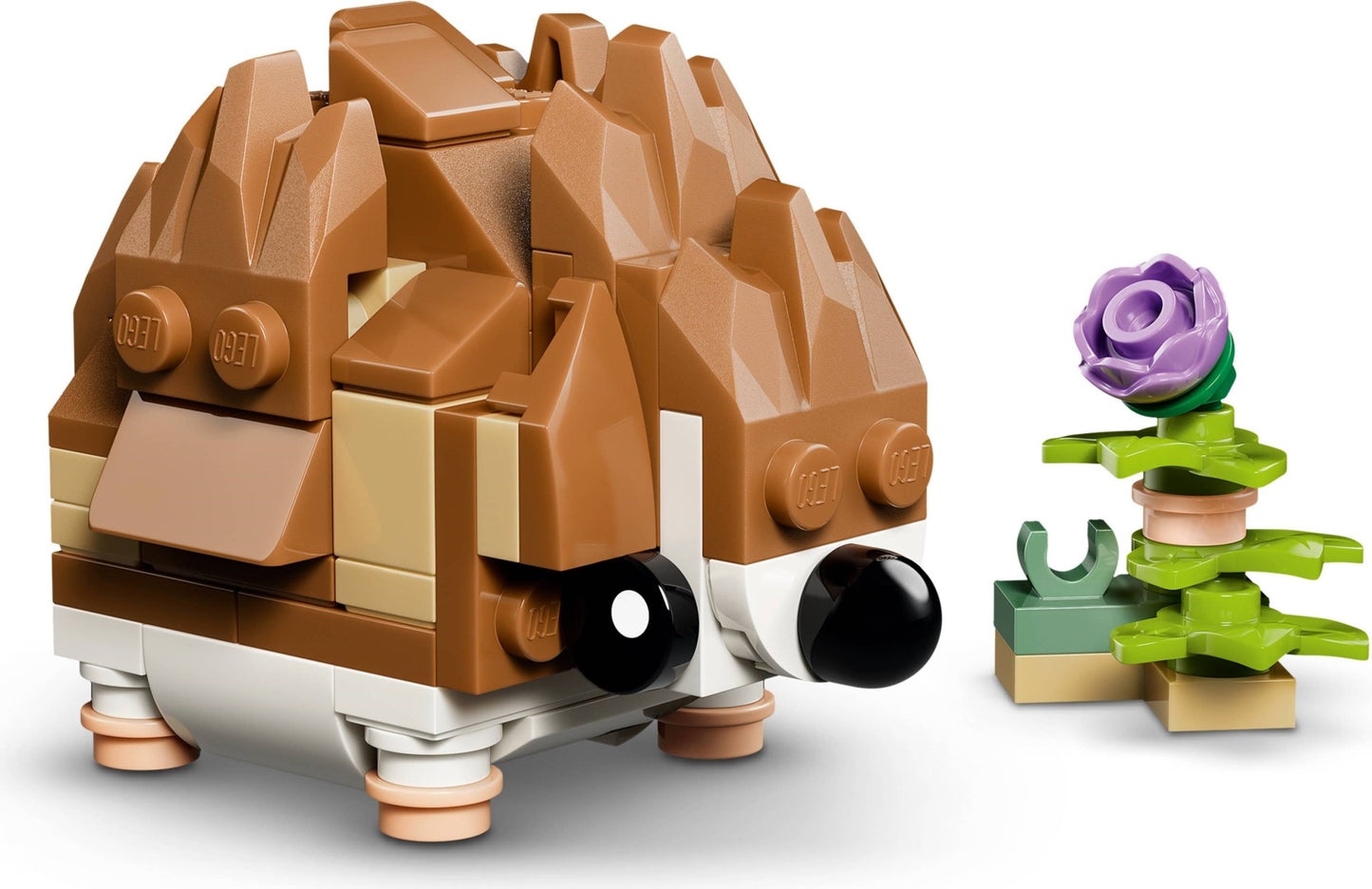 Cute Hamster with a Flower | Creator | 31376