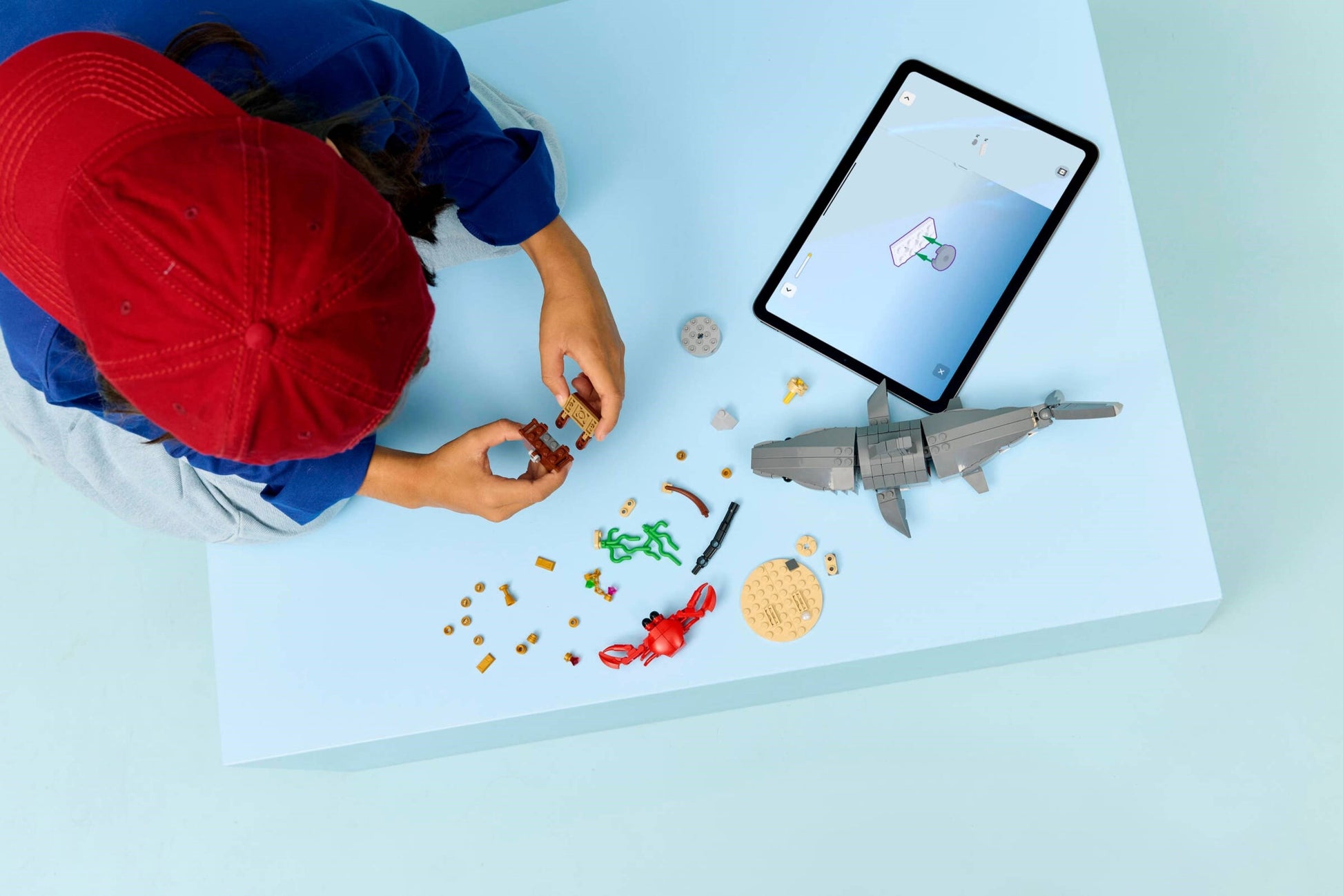 Fierce Shark with a Treasure Chest | Creator | 31381