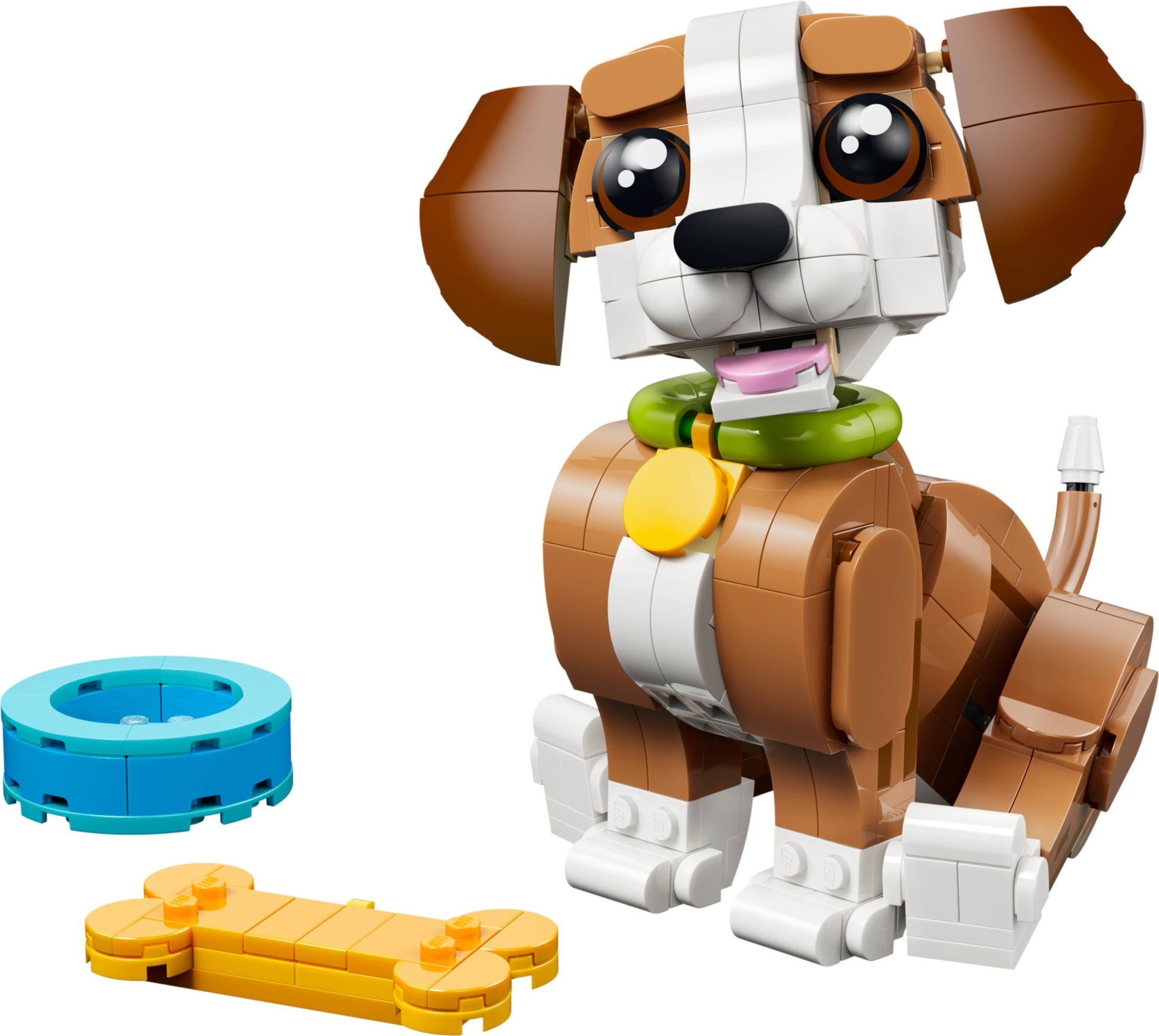 Chiot joueur | Créateur | 31382