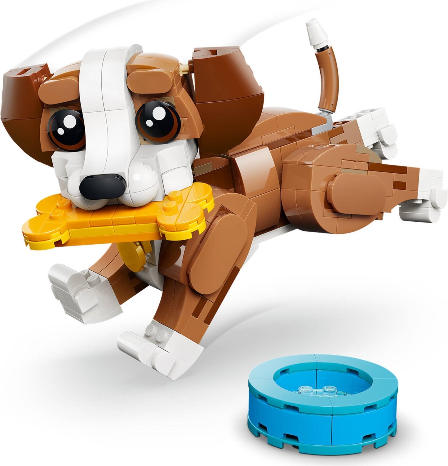 Chiot joueur | Créateur | 31382
