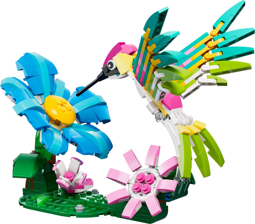 Colourful Hummingbird | Creator | 31384