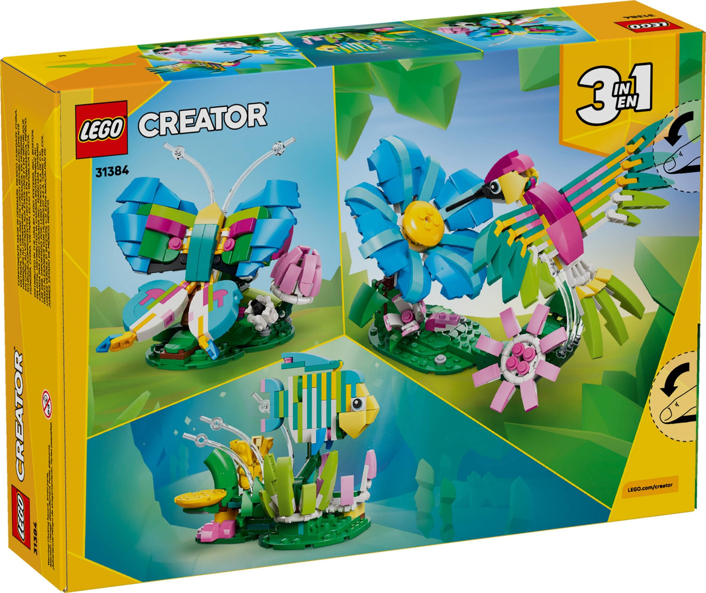 Colourful Hummingbird | Creator | 31384