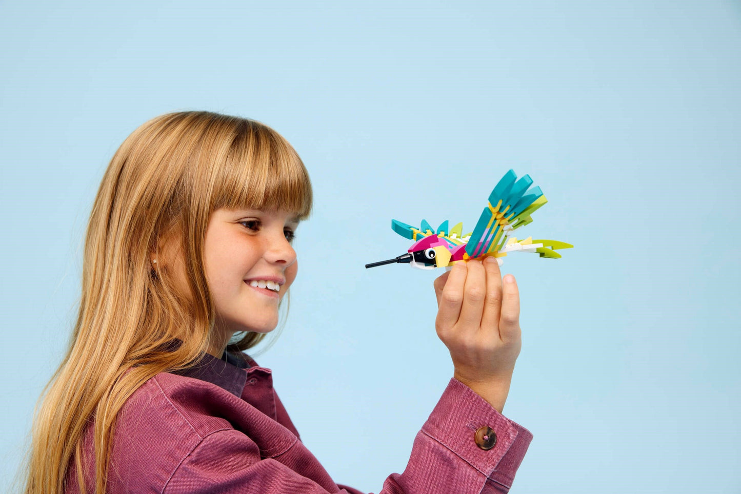 Colourful Hummingbird | Creator | 31384